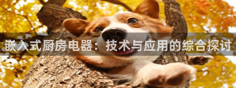 风暴娱乐开户