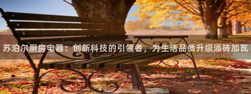 菲律宾风暴娱乐集团
