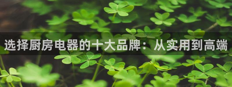 风暴娱乐有5指尖