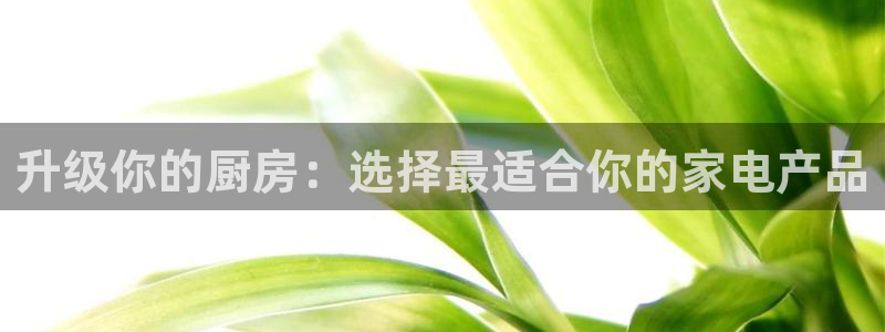 风暴娱乐下载地址