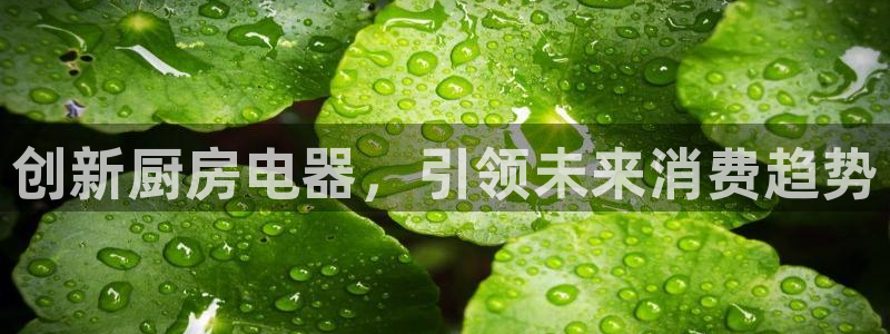 风暴娱乐线路