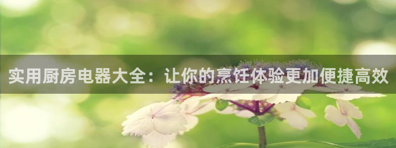 风暴娱乐客服