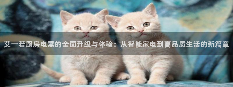 娱乐星空风暴