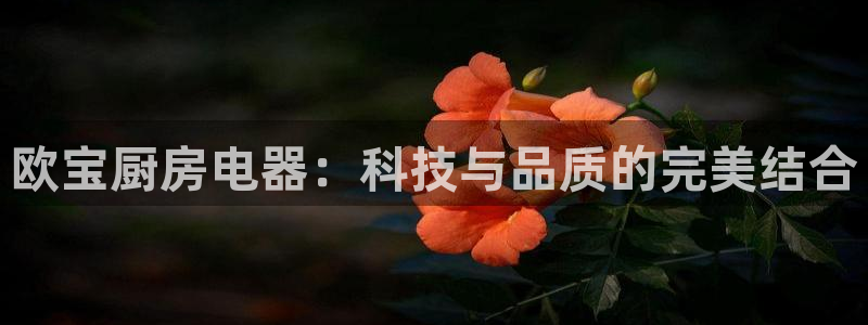 风暴娱乐开户