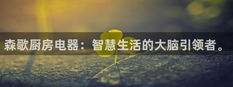 风暴娱乐官方网站