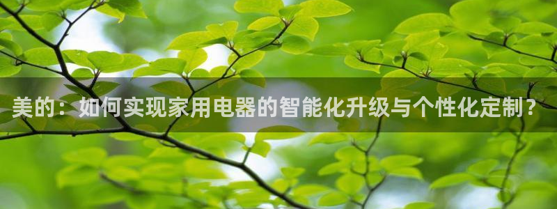 风暴娱乐右5指尖