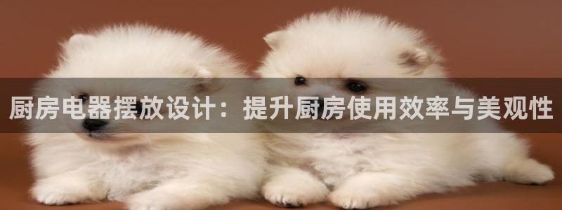 完美风暴 娱乐