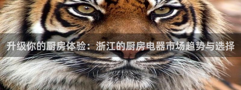 风暴娱乐有5指尖