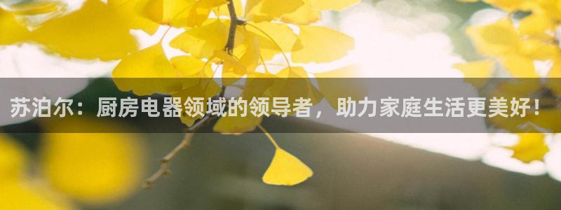 风暴娱乐