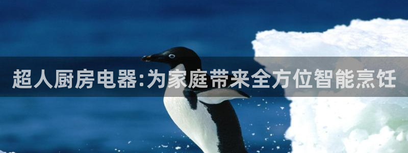 风暴娱乐老板