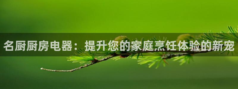 娱乐风暴2