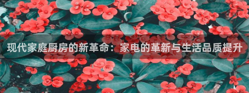 娱乐风暴合集
