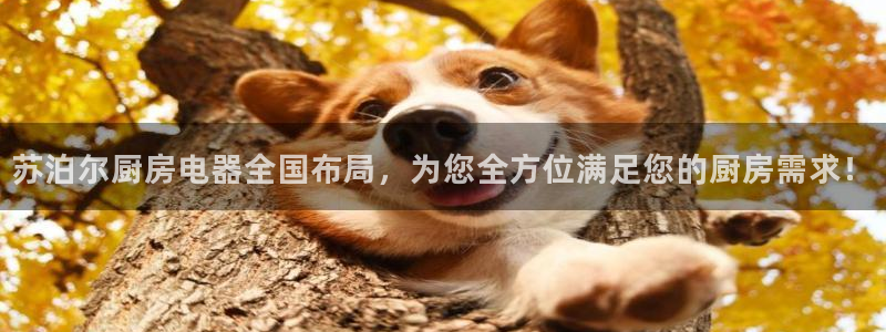 风暴娱乐求333OOf
