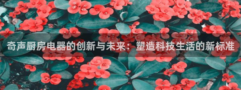 娱乐风暴合集