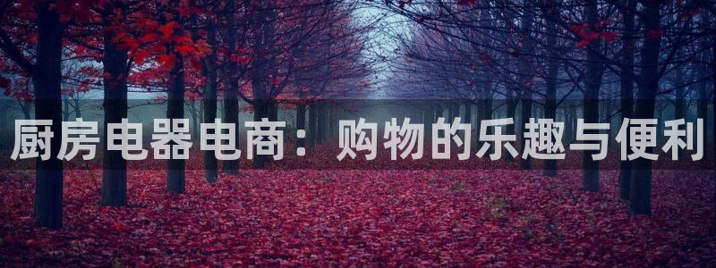 风暴娱乐网