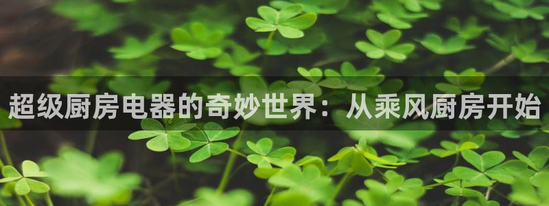 菲律宾风暴娱乐集团