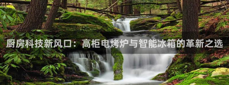 风暴娱乐平台地址
