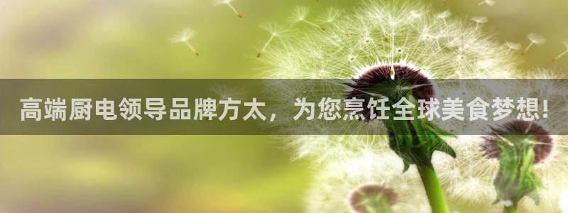 完美风暴 娱乐