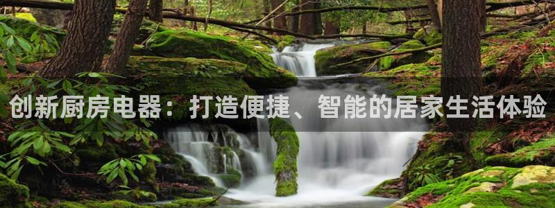 风暴娱乐主管是谁