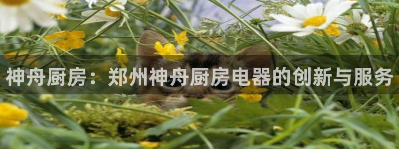 风暴官方娱乐