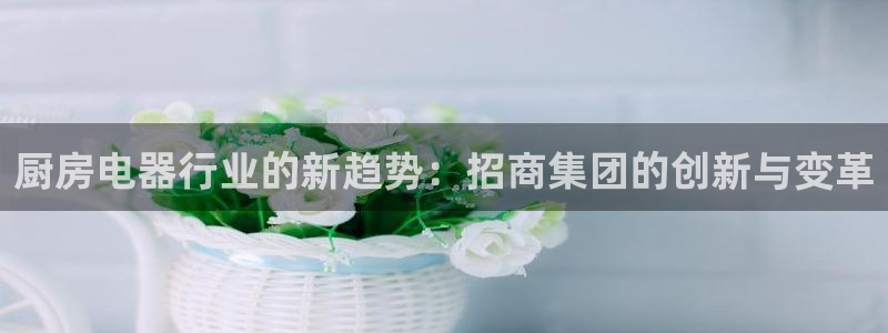 4120051风暴娱乐