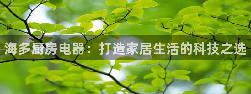 风暴娱乐求333OOa