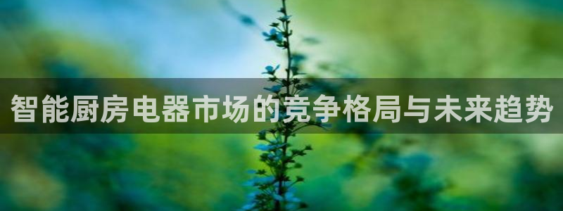 风暴娱乐官方网站