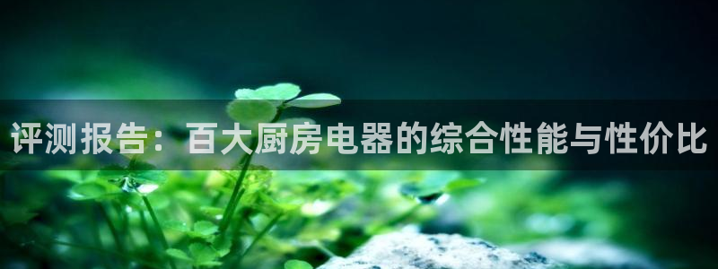 风暴娱乐官方网站