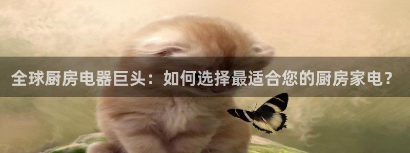 完美风暴 娱乐