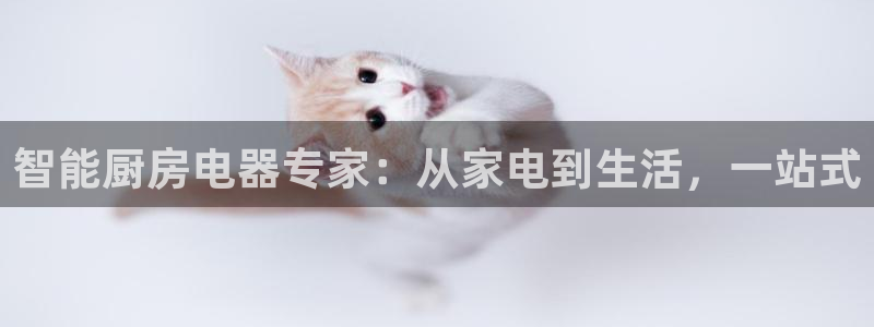风暴娱乐园
