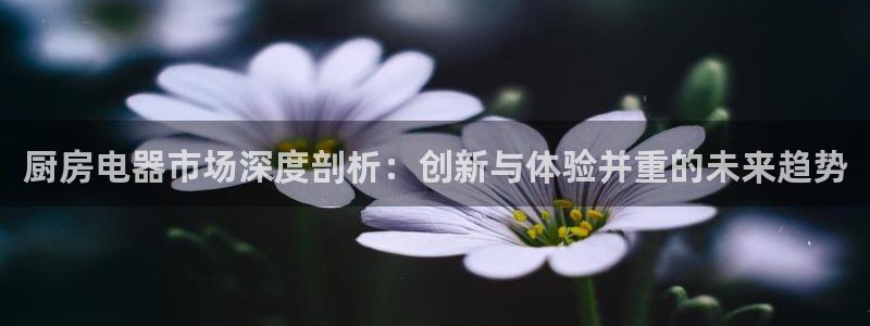 风暴娱乐汇
