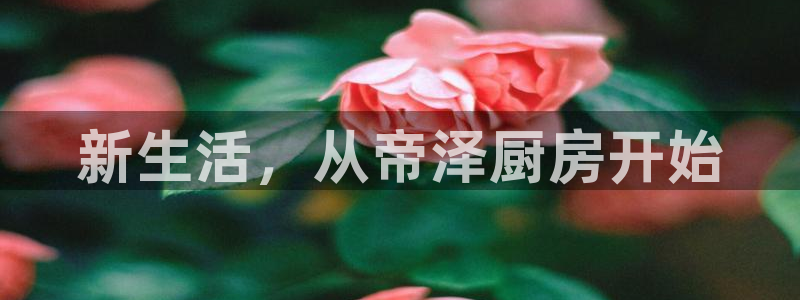 风暴娱乐官网开户
