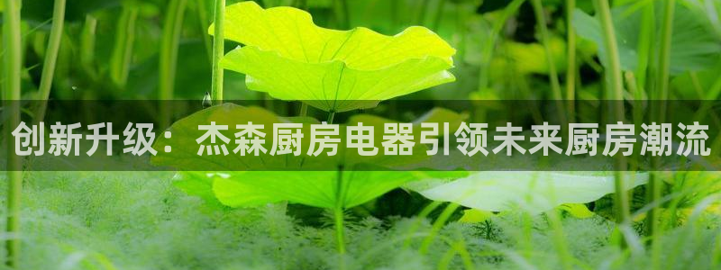 风暴娱乐开户