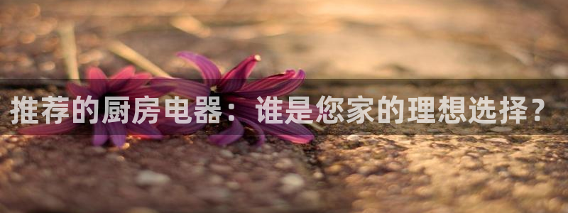 风暴娱乐线路