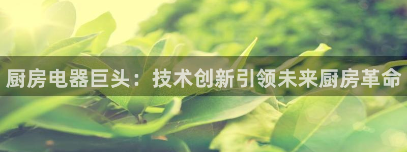 风暴娱乐网