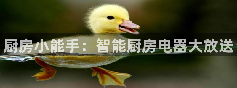 风暴娱乐有5指尖