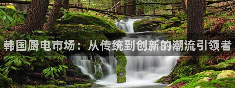 风暴娱乐图片