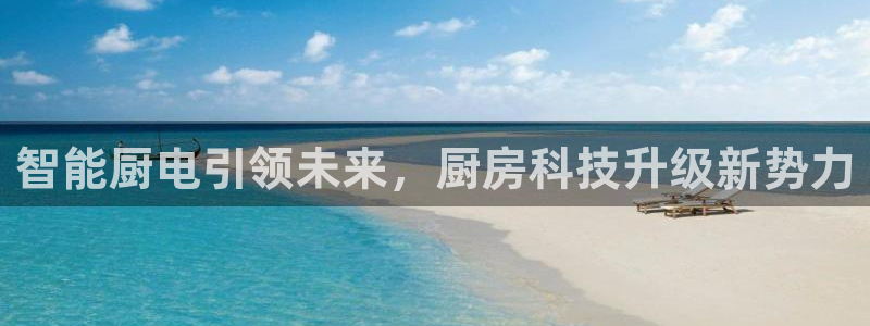 风暴娱乐主管是谁