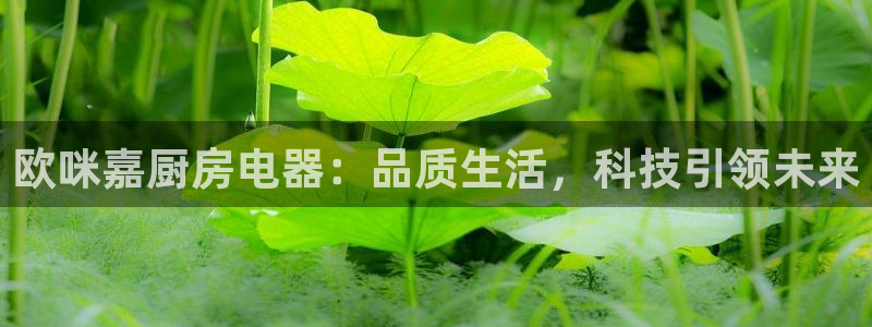 风暴娱乐这个平台靠谱