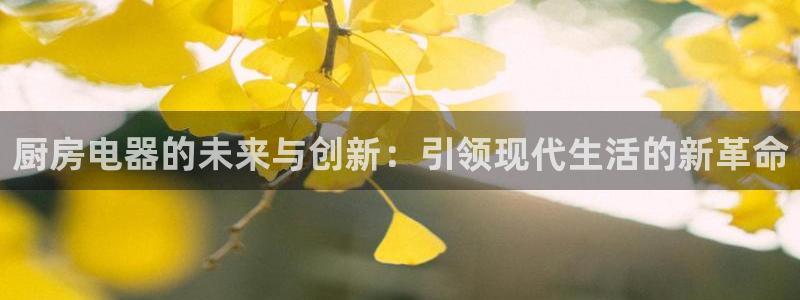 风暴娱乐下5指尖