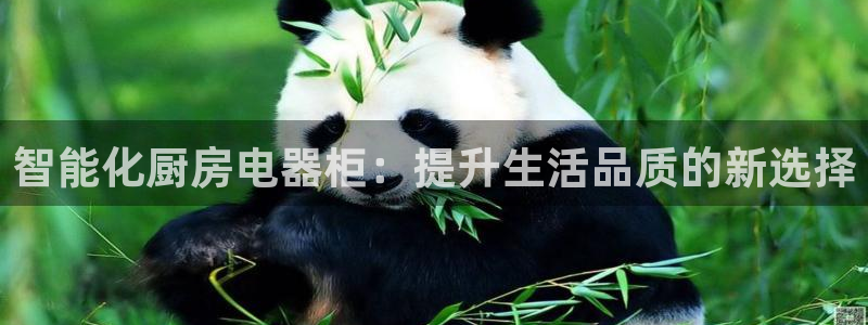 风暴娱乐官网开户