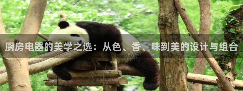 风暴娱乐左5指尖