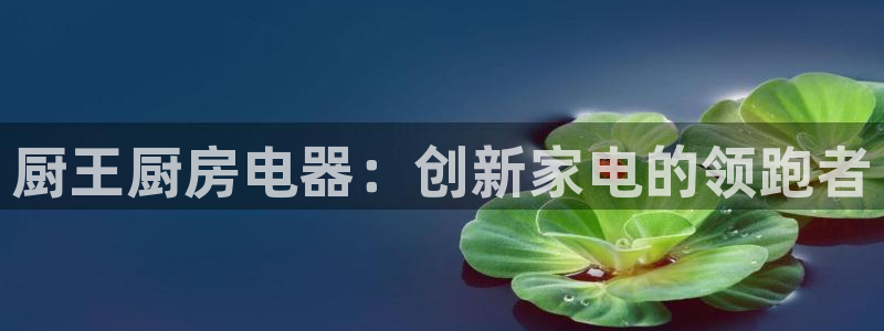 风暴娱乐有5指尖