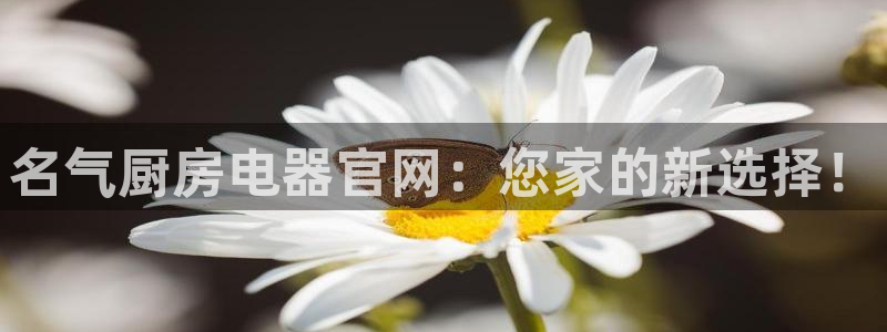 风暴娱乐官方网站