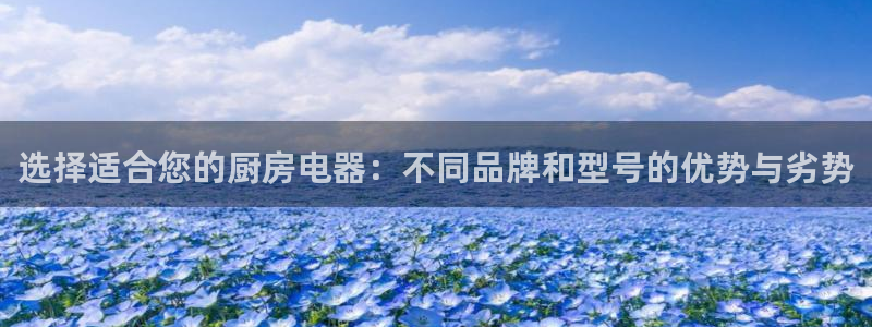 风暴娱乐左5指尖