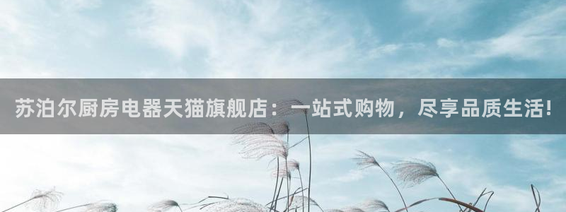 菲律宾风暴娱乐集团