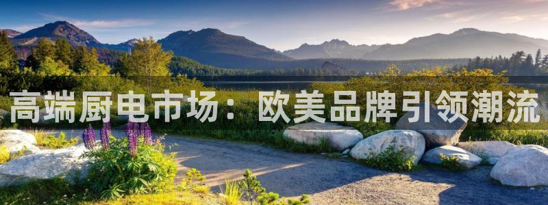 风暴娱乐平台地址