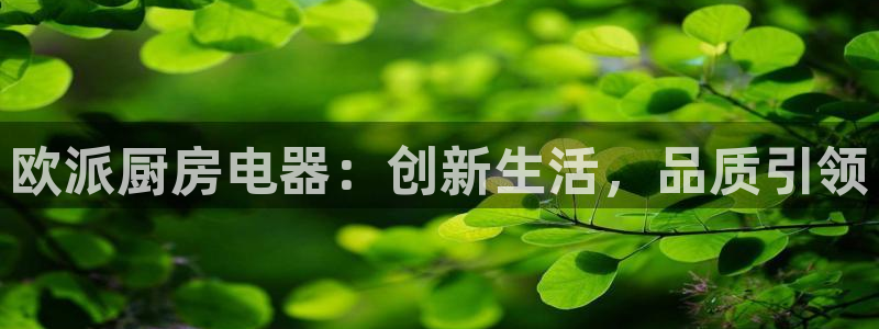 风暴娱乐乃六七五一38